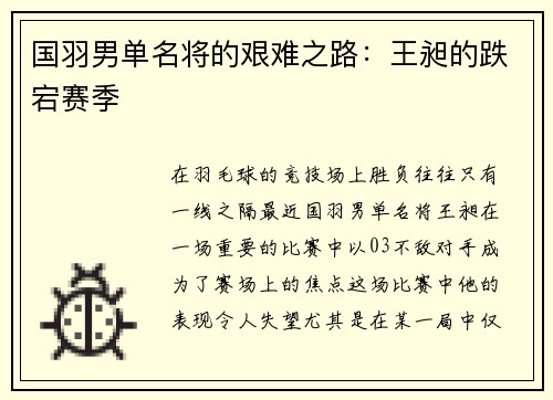 国羽男单名将的艰难之路：王昶的跌宕赛季